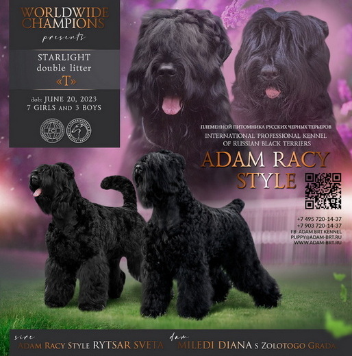       !  ,   !      . Adam Racy Style   ()      