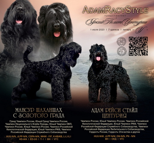       !    !      . Adam Racy Style  () +   ()   