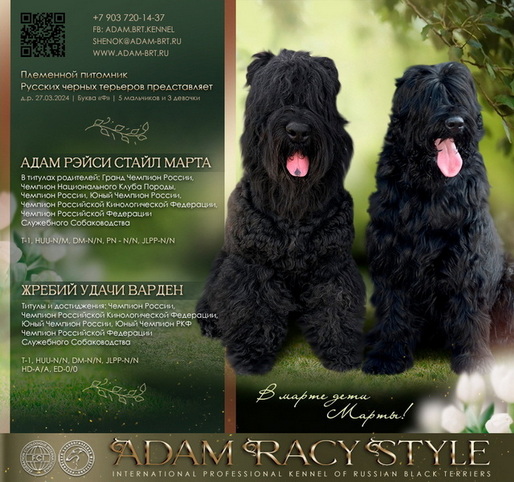       !   !      . Adam Racy Style  +   