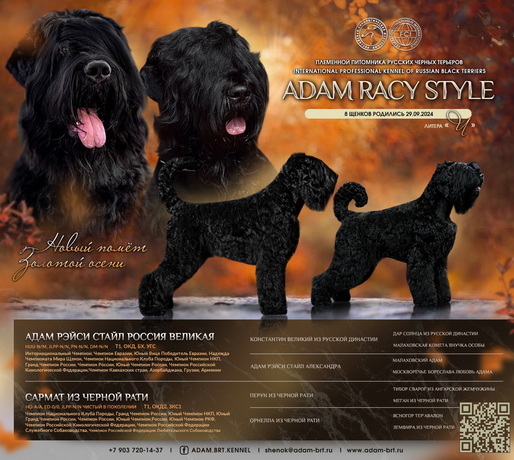       .   !      . Adam Racy Style   +    