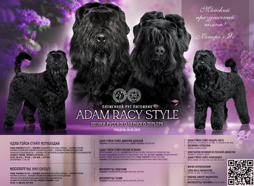       .     . Adam Racy Style NORMANDIYA  Moskvorechie NIL SILYCH