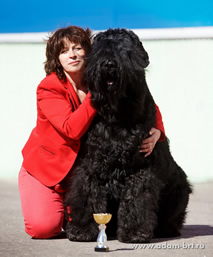 Adam Racy Style APOLLON - INTERNATIONAL CHAMPION!