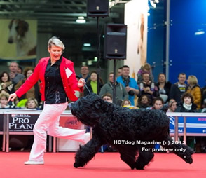 CHERNY RYTSAR iz Russkoi Dinastii