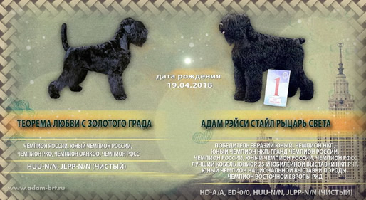 Adam Racy Style RYTSAR SVETA & TEOREMA LUBVI s Zolotogo Grada