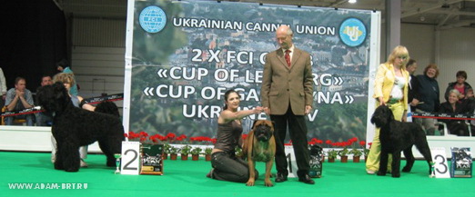 ÁÎÐÈÑËÀÂÀ ËÞÁÎÂÜ ÀÄÀÌÀ