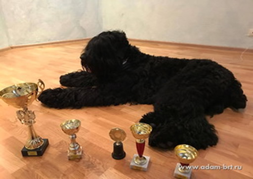 Adam Racy Style MATVEY - CHAMPION OF RUSSIA!