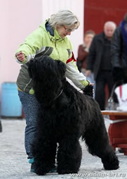 Adam Racy Style MATVEY – Candidate to THE CHAMPION OF RFSS!