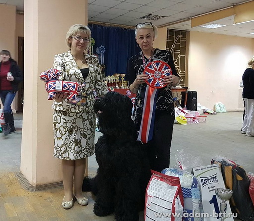 Adam Racy Style MATVEY  JUNIOR CHAMPION EUROPE!!!