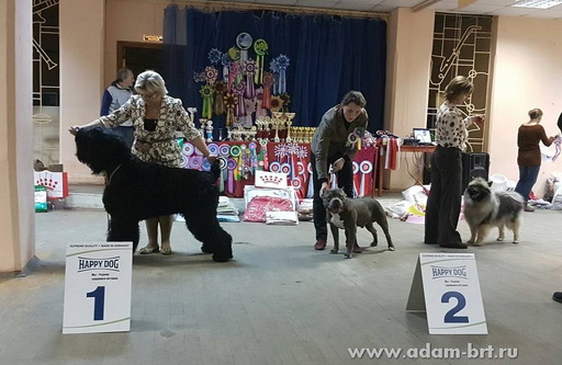 Adam Racy Style MATVEY  JUNIOR CHAMPION EUROPE!!!