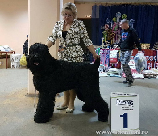 Adam Racy Style MATVEY  JUNIOR CHAMPION EUROPE!!!