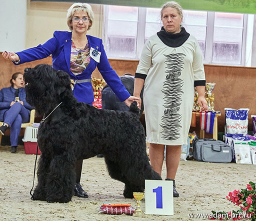 dam Racy Style MATVEY - 1 EXL in Junior class!