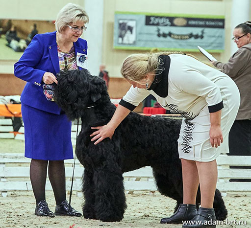 dam Racy Style MATVEY - JCCHC!