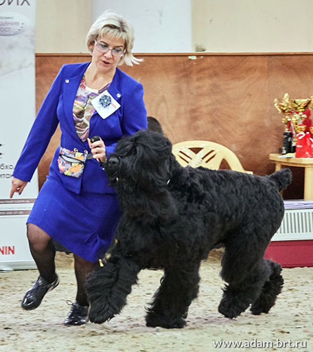 dam Racy Style MATVEY - BOS!