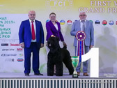 Adam Racy Style RYTSAR SVETA (TSAR) - THE BEST DOG AND WINNER OF THE FIRST WORLD DOG SHOW FOR RUSSIAN NATIONAL BREEDS, BEST IN SHOW!