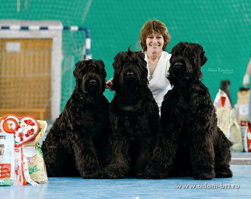 Adam Racy Style  ,      !    -   !   !