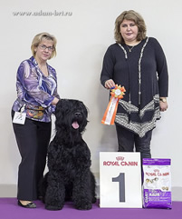 Adam Racy Style ROSSIYA VELIKAYA - CHAMPION OF RUSSIA AND RUSSIAN KINOLOGICAL FEDERATION!