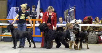 BORESLAVA LUBOV ADAMA