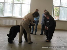 BORESLAVA LUBOV ADAMA