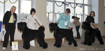 BORESLAVA LUBOV ADAMA