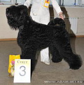 BORESLAVA LUBOV ADAMA