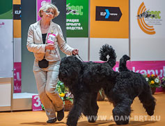 АДАМ + БОРИСЛАВА