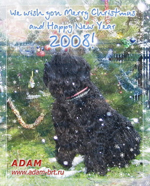 Merry Christmas and Happy New Year!