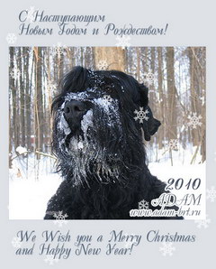 Merry Christmas and Happy New Year!