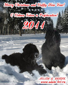 Merry Christmas and Happy New Year!