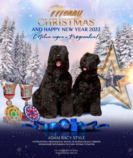 Merry Christmas! Happy New 2022 Year!