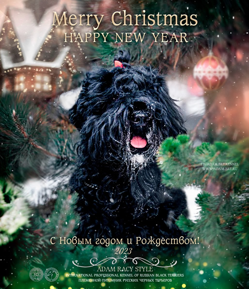 Merry Christmas! Happy New 2023 Year!