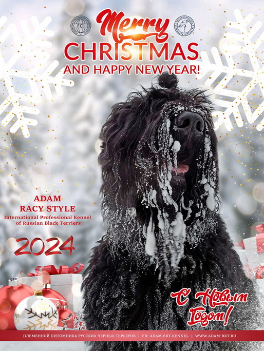 Merry Christmas! Happy New 2024 Year!