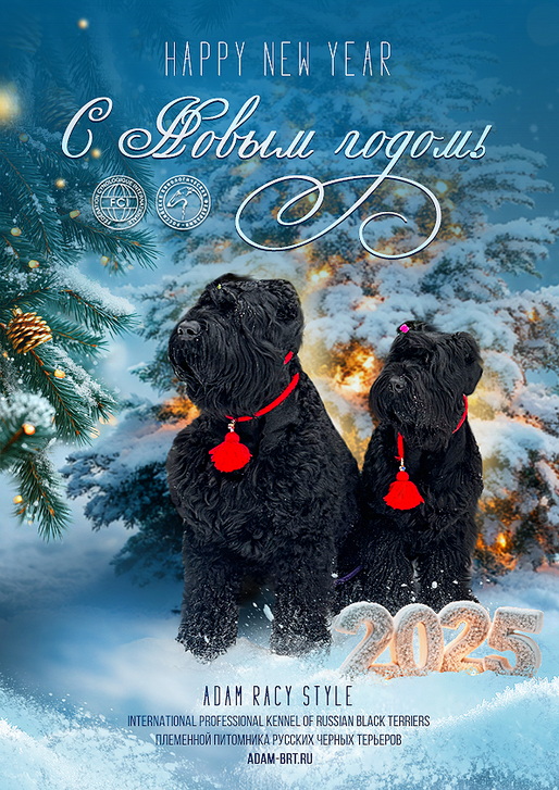   2025 , !  ! Adam Racy Style   Adam Racy Style NORMANDIYA