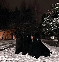 Adam Racy Style RBT Kennel - Happy Orthodox Christmas and New Year!