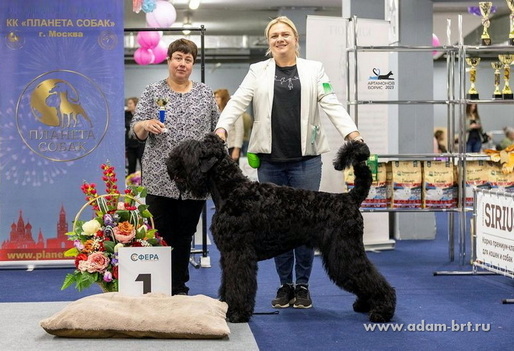 Adam Racy Style  -   !   !   !