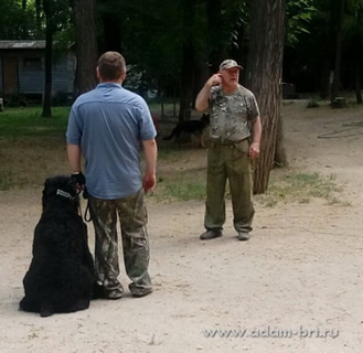 Adam Racy Style ODIN - OKD 1 GRADE!!!!!!