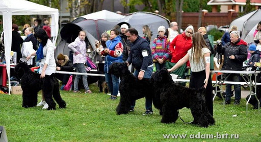 Adam Racy Style ONRY NICE - YOUNG CHAMPION OF RUSSIA!!!