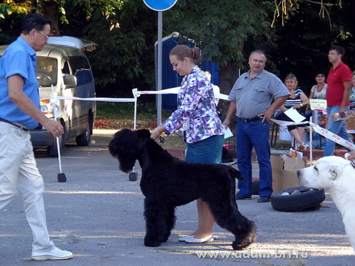 Adam Racy Style ODIN  THE PRIDE OF RUSSIA!!!