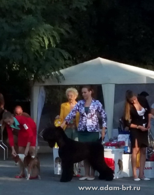 Adam Racy Style ODIN  THE PRIDE OF RUSSIA!!!