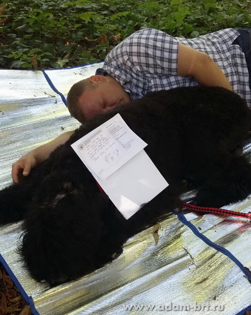 Adam Racy Style ODIN!