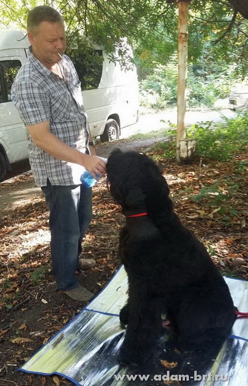 Adam Racy Style ODIN!