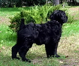 Velikaya KNYAZHNA OLGA (ADAM+LVITSA)