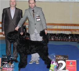 ADAM RACY STYLE BERENIS - THE BEST JUNIOR OF BREED