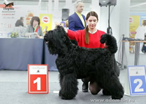 Adam Racy Style BERENIS