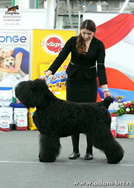 Adam Racy Style DAVID