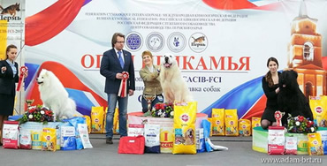 Adam Racy Style DAVID