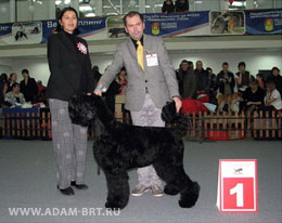ADAM RACY STYLE BERENIS - THE BEST JUNIOR OF BREED