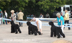 Выставка Псковский сувенир