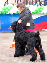Adam Racy Style RUSSKIY ROCK - JUNIOR CHAMPION of RUSSIA!
