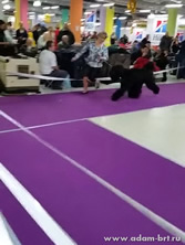 Adam Racy Style ROSSIYA VELIKAYA - JUNIOR CLUB WINNER!!! 