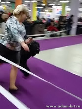 Adam Racy Style ROSSIYA VELIKAYA - JUNIOR CLUB WINNER!!! 